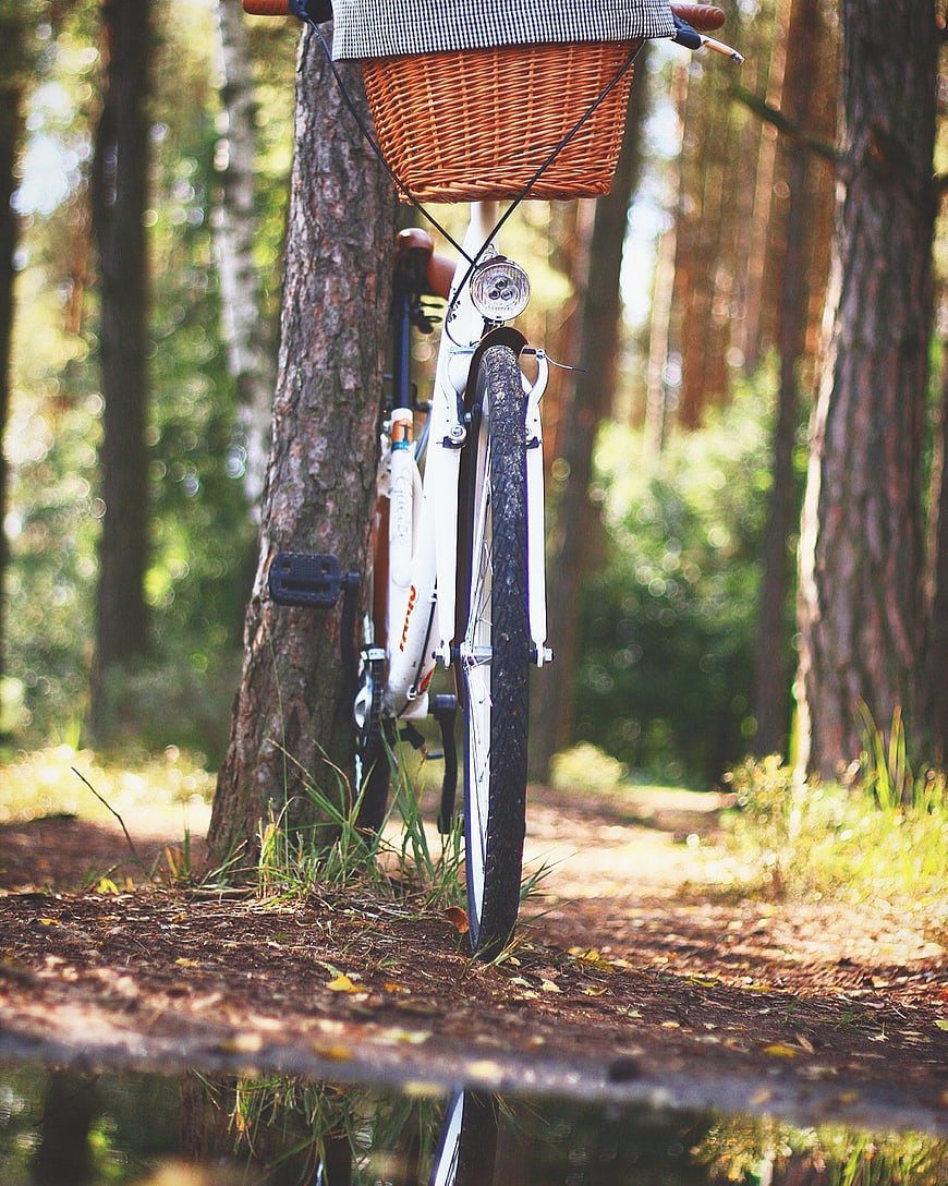 White Bicycle with Basket in Forest