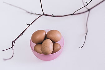 Brown eggs in pink bowl with bare branches on white background