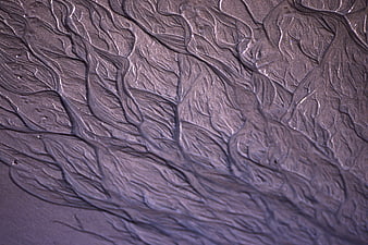 Abstract purple sand texture with wavy branching patterns