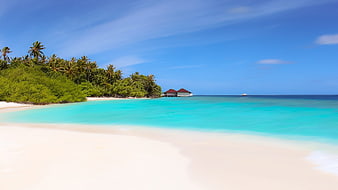 Tropical Island Beach With Turquoise Water And Palm Trees