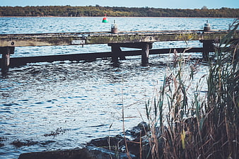 Weathered wooden pier extending over calm blue water with reeds