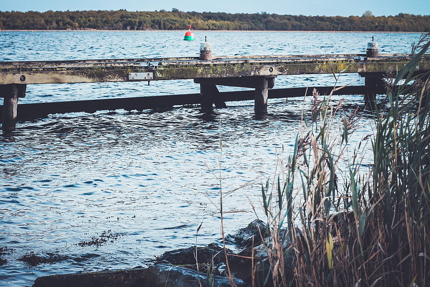 Weathered wooden pier extending over calm blue water with reeds