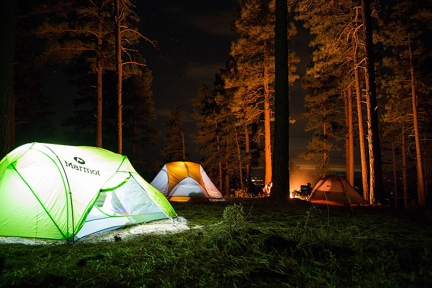 Night Camping in Pine Forest with Glowing Tents
