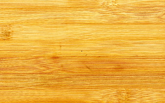 Close-up of natural bamboo wood texture background