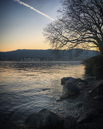 Serene Lake Sunset with Silhouetted Tree and Distant Hills