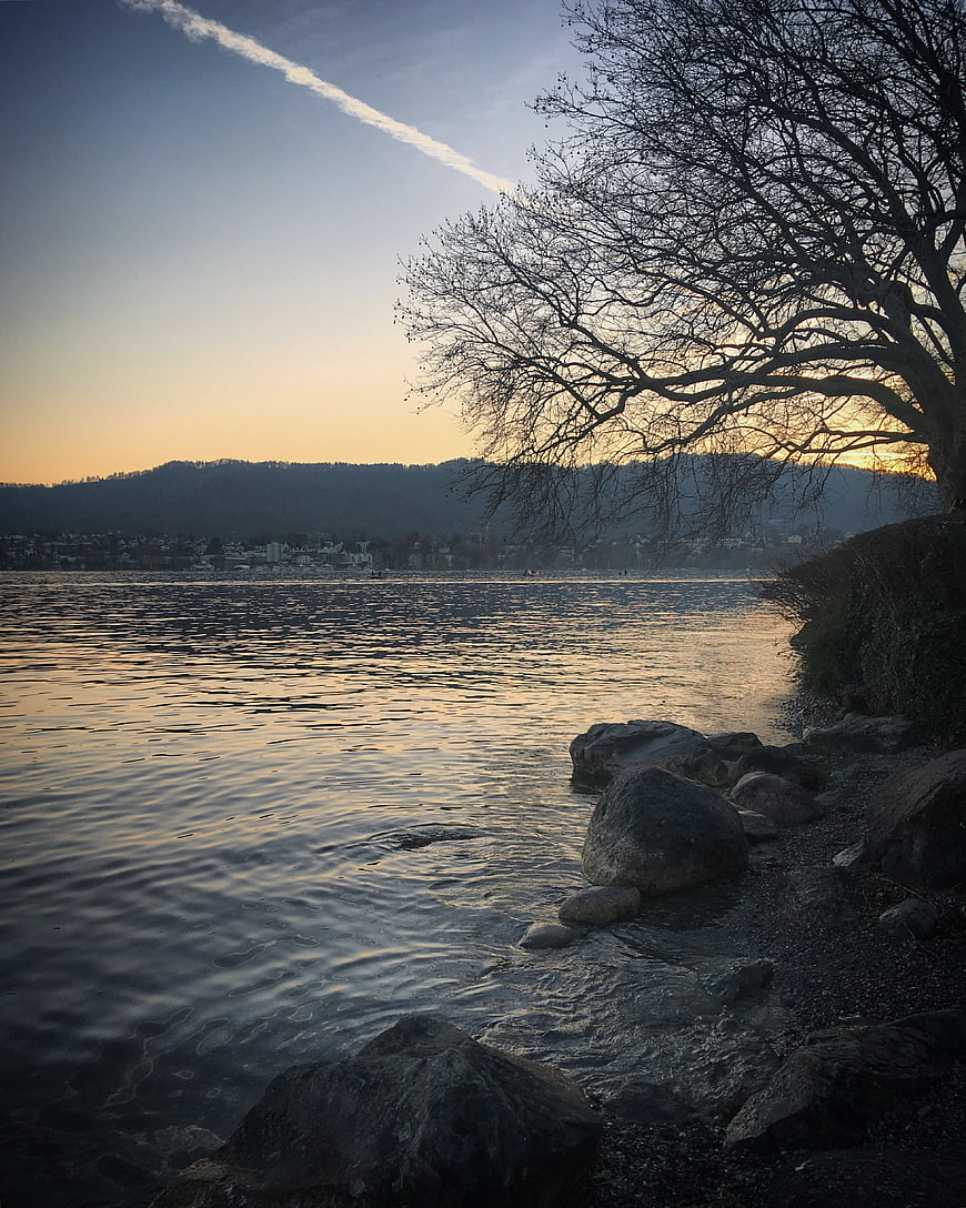 Serene Lake Sunset with Silhouetted Tree and Distant Hills