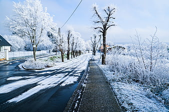 Frosty Winter Road with Snow-Covered Trees and Sidewalk