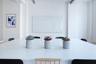 Minimalist white office meeting room with succulents