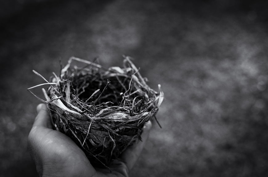 Hand holding empty bird nest in black and white