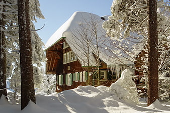 Snow-covered wooden chalet in winter forest