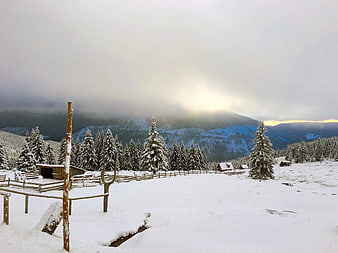 Snowy Mountain Landscape with Pine Trees and Wooden Fence