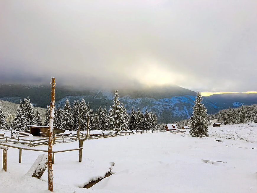 Snowy Mountain Landscape with Pine Trees and Wooden Fence