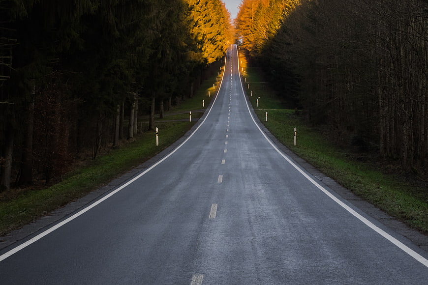 Empty asphalt road winding through forest at golden hour