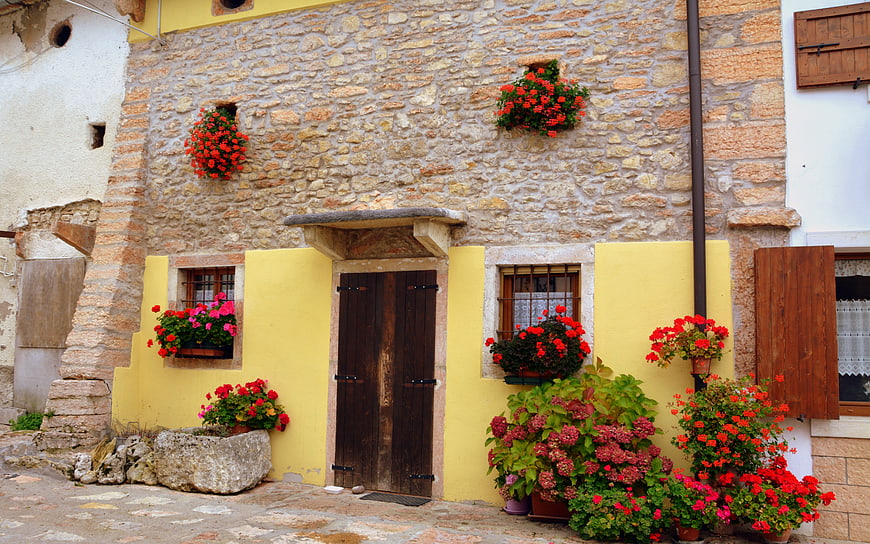 Rustic Stone House with Yellow Facade and Red Flowers
