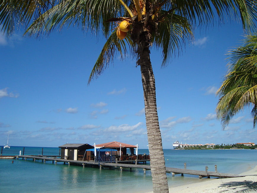 Tropical Beach Scene with Palm Tree and Wooden Pier