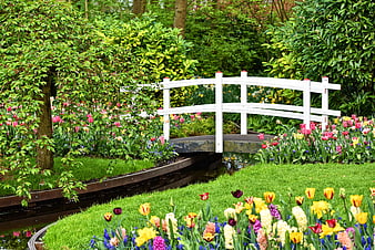 White wooden bridge over stream in vibrant spring garden