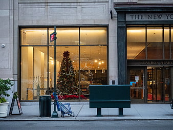 New York Public Library Christmas Tree Window Display