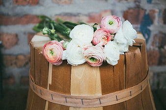 Pink and white ranunculus flowers on a wooden barrel