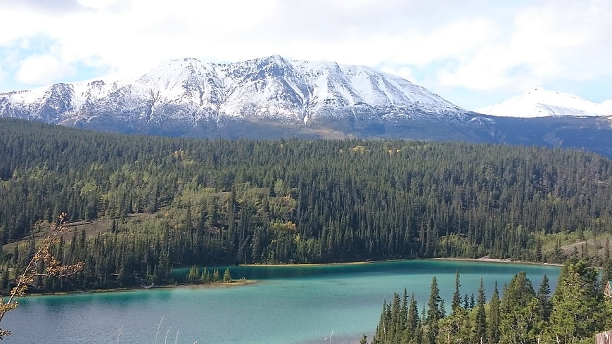 Turquoise mountain lake surrounded by pine forest and snow-capped peaks