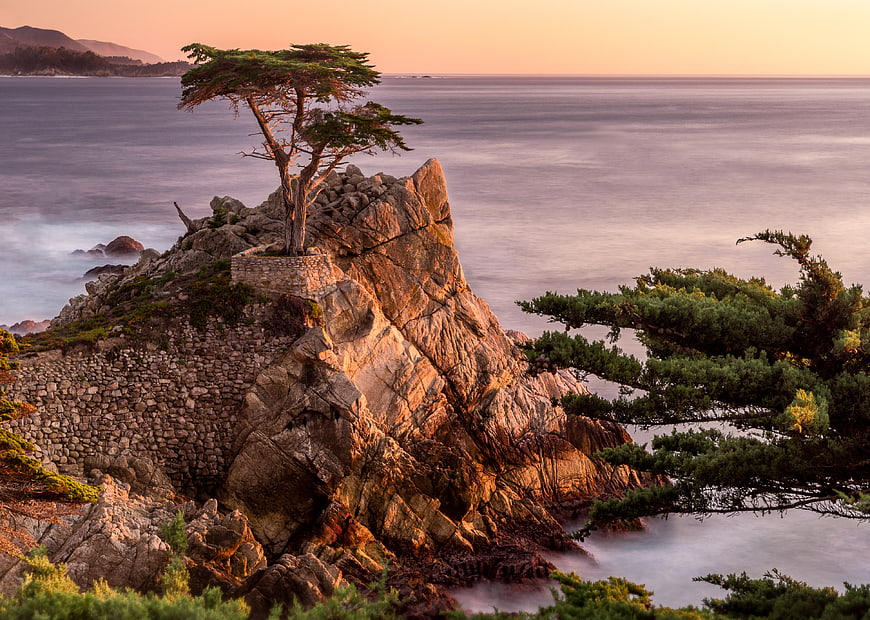Lone Cypress Tree on Rocky Cliff at Sunset