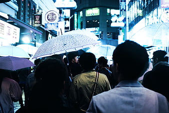 Crowd with umbrellas walking in rainy city street at night