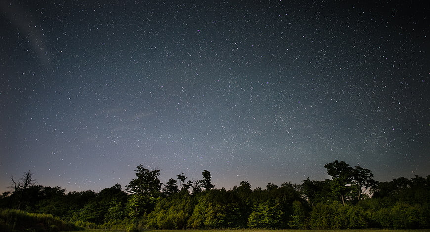 Starry Night Sky Over Forest Landscape