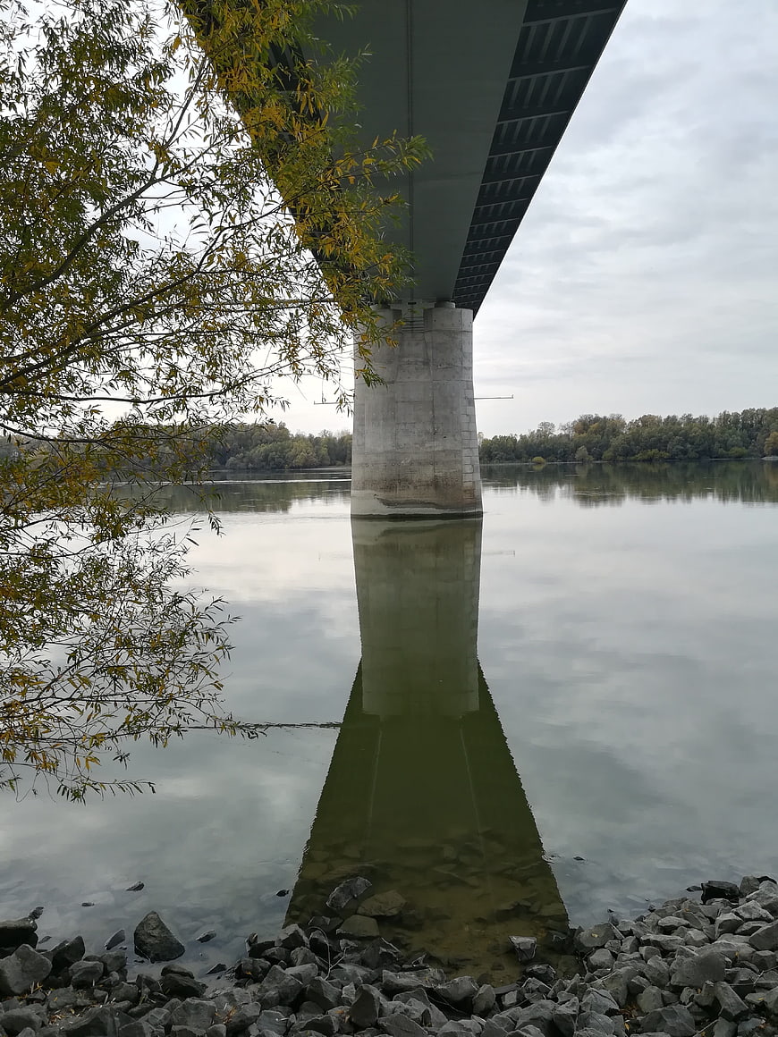 Concrete Bridge Pillar Reflection in Calm River
