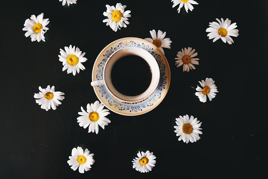 Overhead view of coffee cup surrounded by daisies on black background