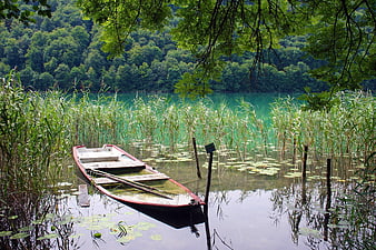 Old wooden boat moored in a serene lake with reeds