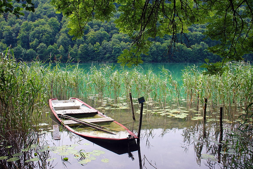 Old wooden boat moored in a serene lake with reeds