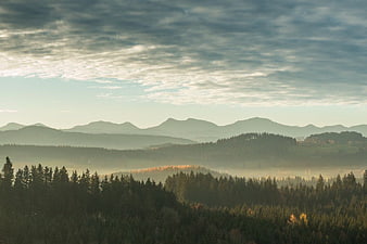 Misty Mountain Forest Landscape with Cloudy Sky