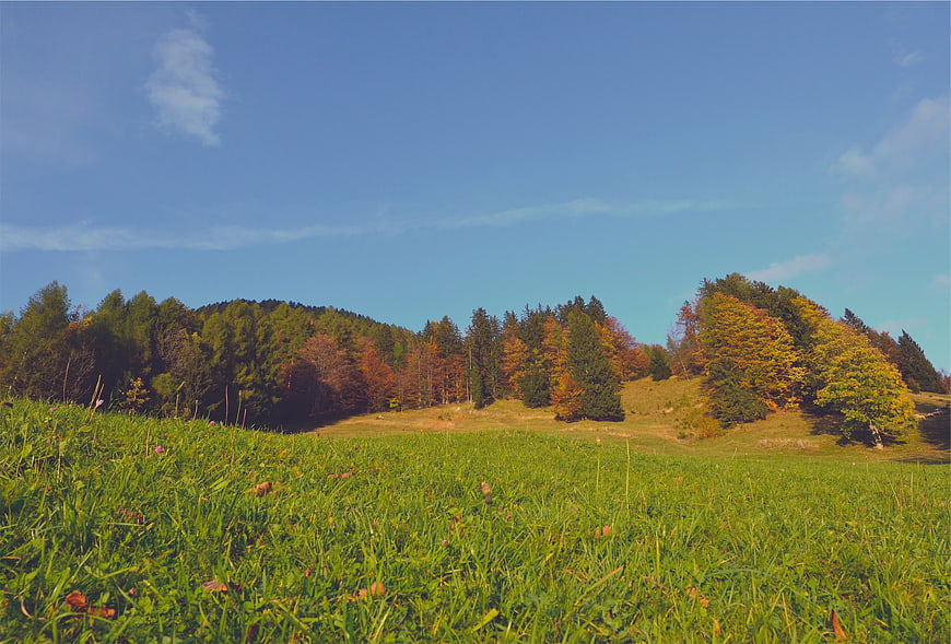 Autumn Landscape with Green Meadow and Colorful Forest