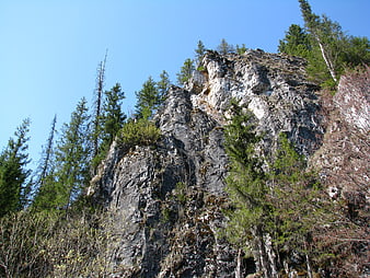 Rugged Rocky Cliff Face with Pine Trees and Blue Sky