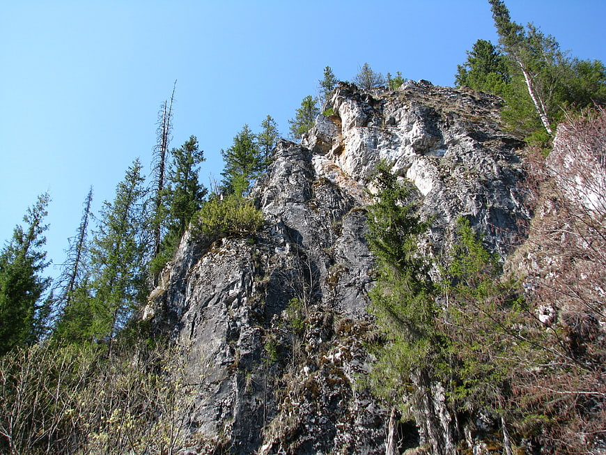 Rugged Rocky Cliff Face with Pine Trees and Blue Sky