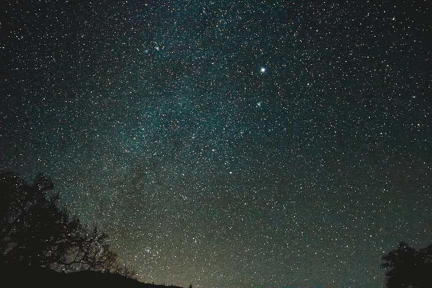 Starry Night Sky with Tree Silhouettes