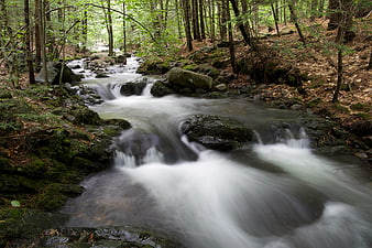 Long Exposure Forest Stream with Mossy Rocks
