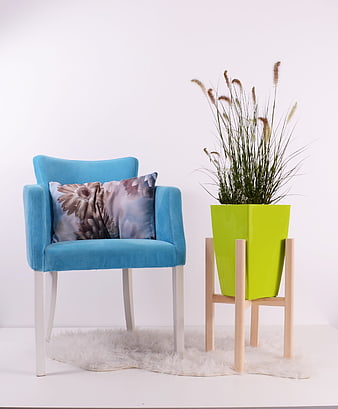 Modern Blue Armchair with Floral Pillow and Green Planter