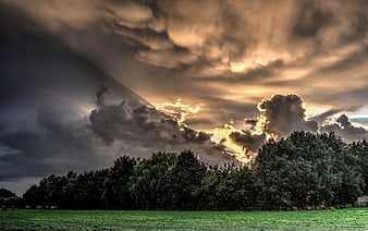Dramatic Storm Clouds Over Green Pasture with Cows