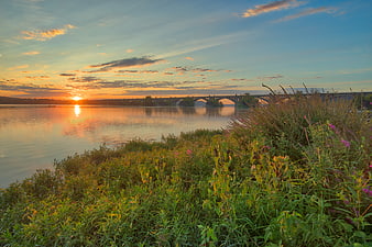 Sunrise over river with bridge and wildflowers