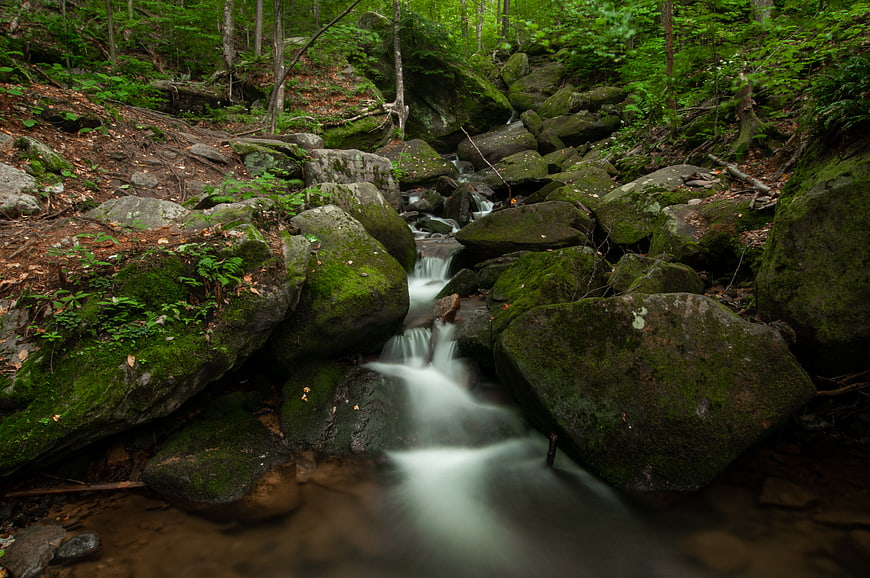 Mossy Rocks and Flowing Stream in Green Forest