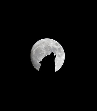 Silhouette of a howling wolf against a full moon