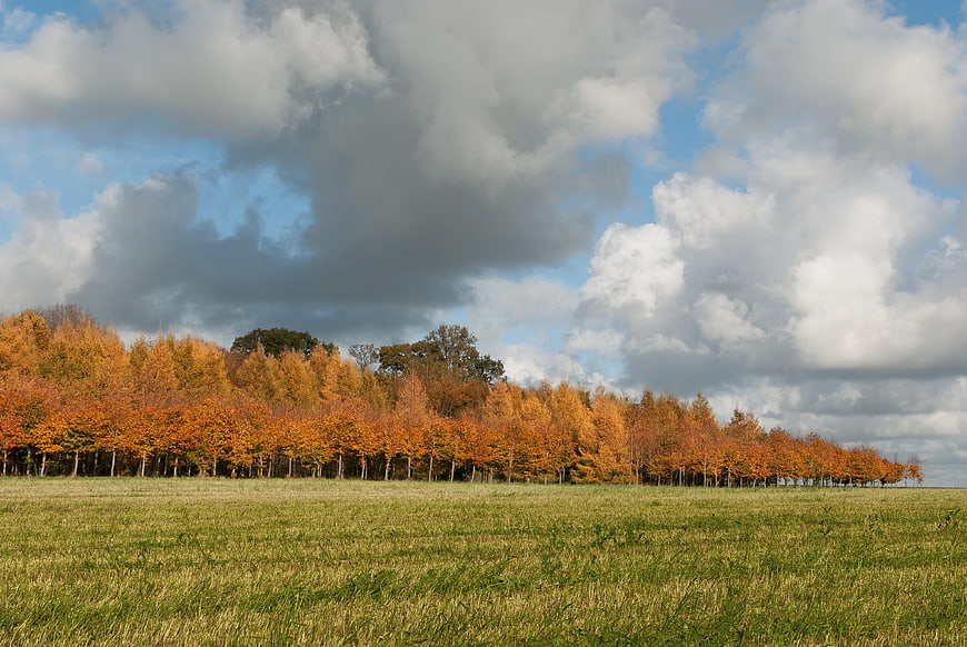 Autumn landscape with orange trees and dramatic cloudy sky
