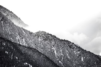 Black and white winter mountain landscape with snow and trees