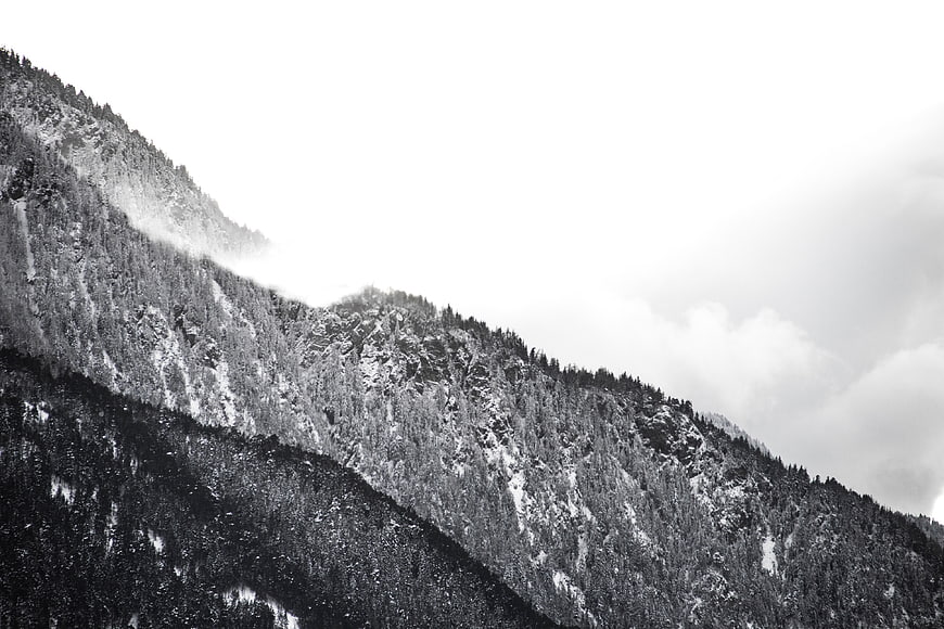 Black and white winter mountain landscape with snow and trees