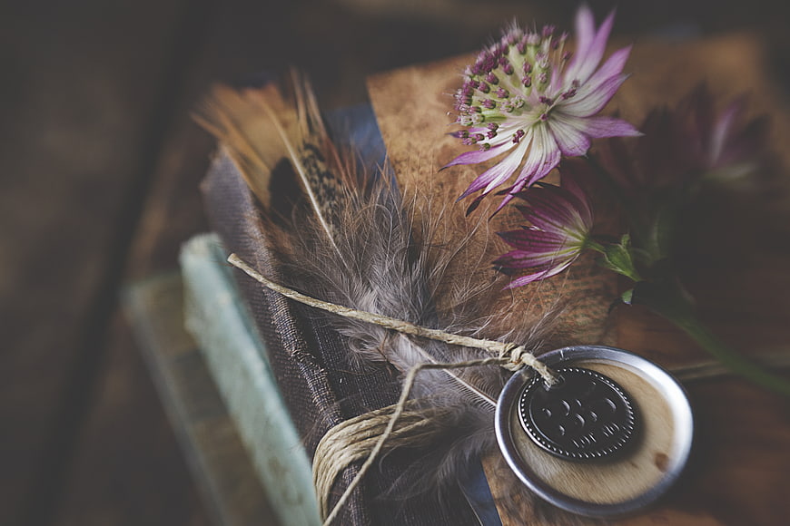 Vintage Book with Feathers, Wax Seal, and Purple Flowers