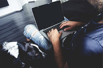 Man Typing on Laptop with Dog Resting Beside Him