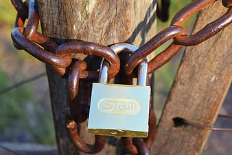 Rusty Chain and Padlock on Wooden Post