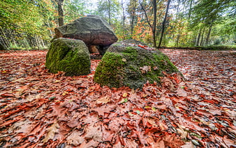Mossy Megaliths in Autumn Forest with Fallen Leaves