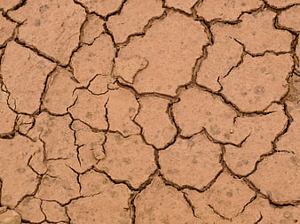 Close-up of cracked dry earth texture background