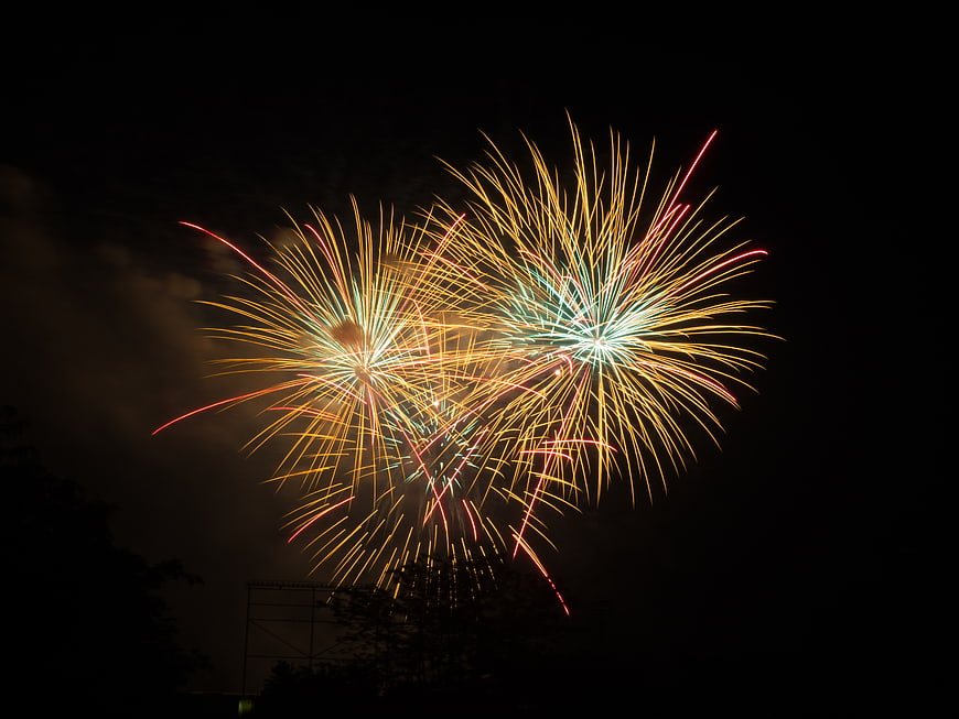 Colorful Fireworks Bursting in Night Sky